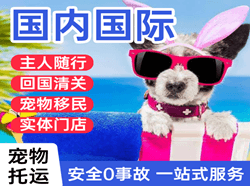 西昌航空货运国际宠物托运 【国